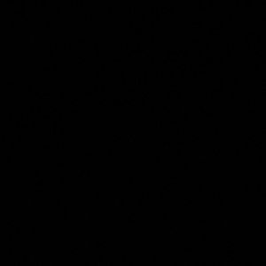 Meet your Posher, Danae